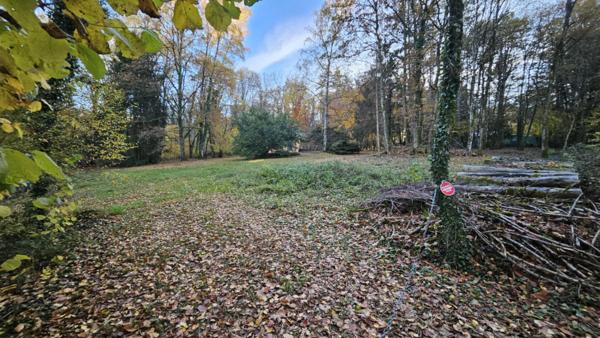 Le Rêve d'Évasion : Votre Cabane Rénovée au Coeur de la Forêt, à un Saut de Puce de Chaumont