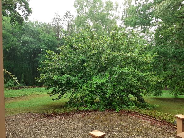 Le Rêve d'Évasion : Votre Cabane Rénovée au Coeur de la Forêt, à un Saut de Puce de Chaumont