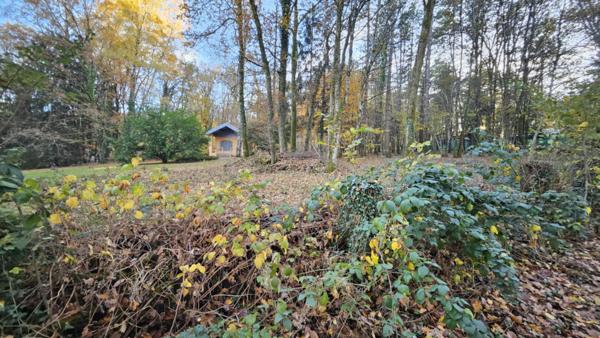 Le Rêve d'Évasion : Votre Cabane Rénovée au Coeur de la Forêt, à un Saut de Puce de Chaumont