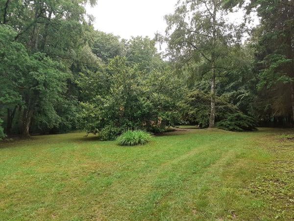 Le Rêve d'Évasion : Votre Cabane Rénovée au Coeur de la Forêt, à un Saut de Puce de Chaumont