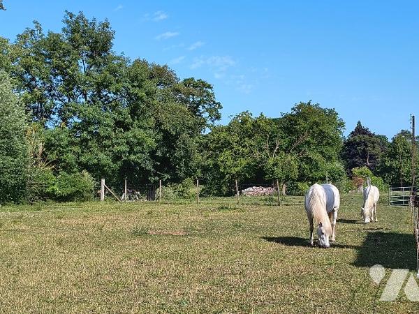 PROPRIETE D'EXCEPTION - ESPRIT RANCH AU NORD DE PARIS