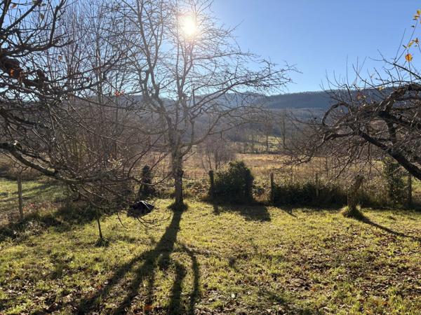 Vente Maison 5 pièces 75 m2 à Carla-de-Roquefort