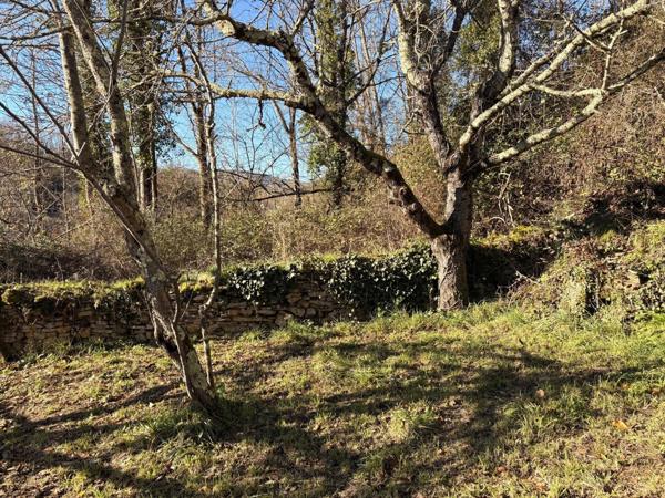 Vente Maison 5 pièces 75 m2 à Carla-de-Roquefort