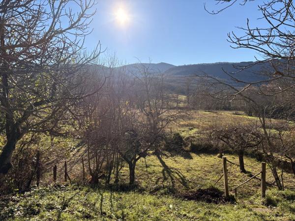 Vente Maison 5 pièces 75 m2 à Carla-de-Roquefort