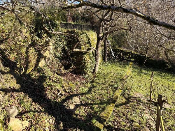 Vente Maison 5 pièces 75 m2 à Carla-de-Roquefort