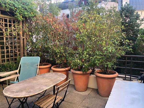 Appartement Suresnes 4 pièce(s) 107.97 m2