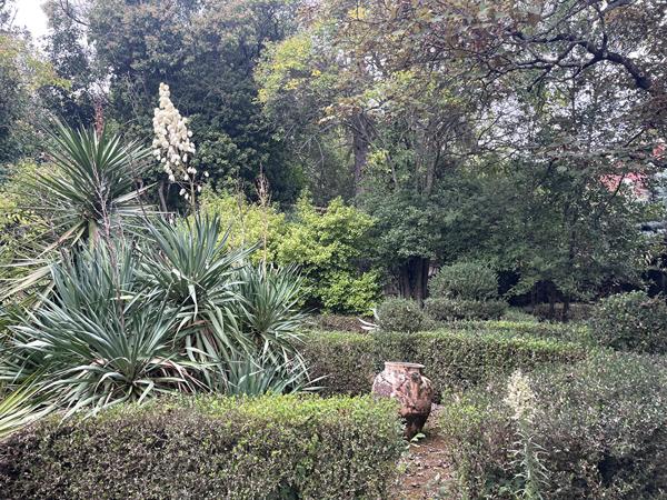 Maison de maître 300m2 BEDARIEUX