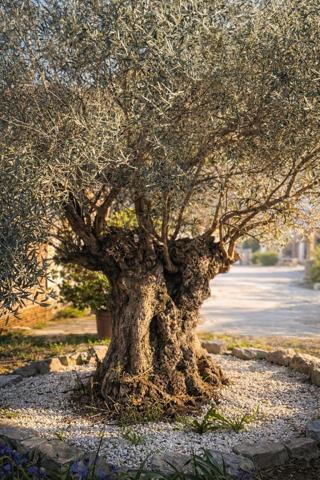 Votre futur été se prépare ici ! Besoin d'espace ? On a ce qu'il vous faut !