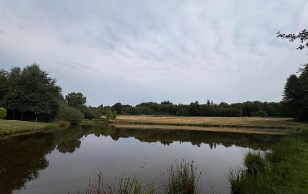 Vente Terrain Dournazac   