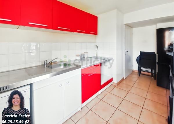 Appartement 1 pièce - 53 m² Exclusivité efficity