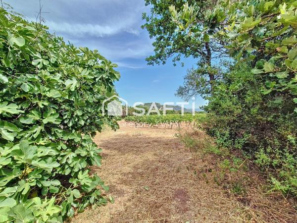 Villa provençale atypique dans un cadre campagne