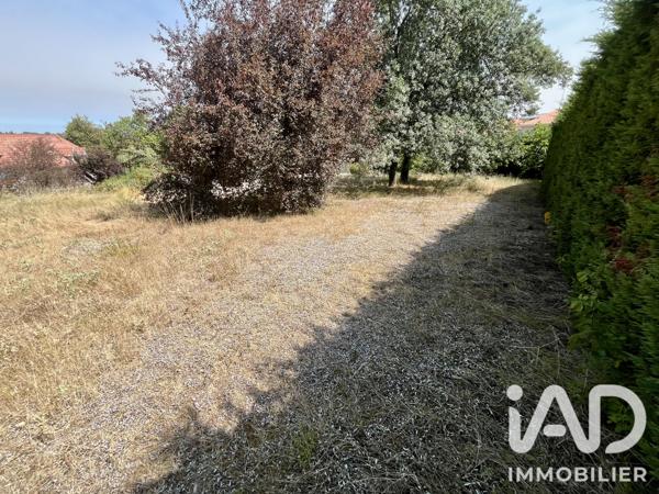 Terrain à vendre 569 m² Montrabé