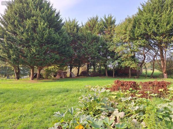 Maison rurale à vendre à Chailland en Mayenne (53420), ref : 53077-4