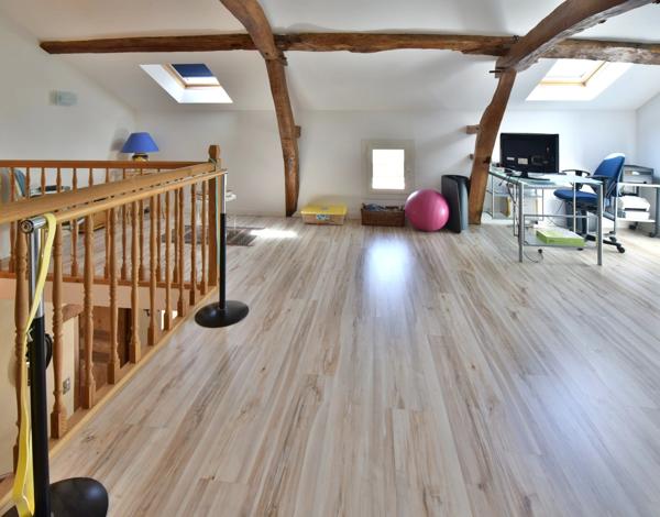 Maison de caractère rénovée dans les Hautes-Pyrénées (65) – Vue imprenable sur les Pyrénées, terrain de 1,7 ha