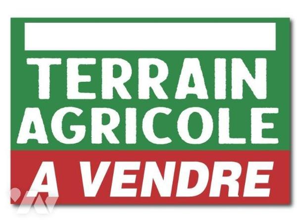 A vendre : parcelles agricoles de 26hectares environ, dans la VIENNE (86), à SOMMIERES-DU-CLAIN,