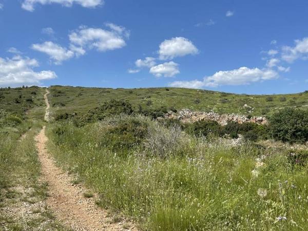 Terrain à vendre |  Frontignan |  242148 m²