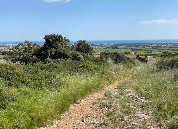 Terrain à vendre |  Frontignan |  242148 m²