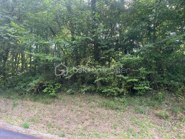 Terrain à vendre avec certificat d'urbanisme sur 1338m2, secteur Camp de César...