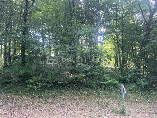 Terrain à vendre avec certificat d'urbanisme sur 1338m2, secteur Camp de César...