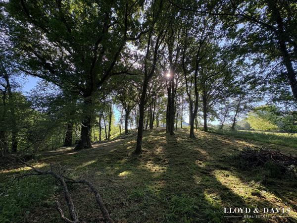 Propriété de charme avec piscine sur terrain 1hectare