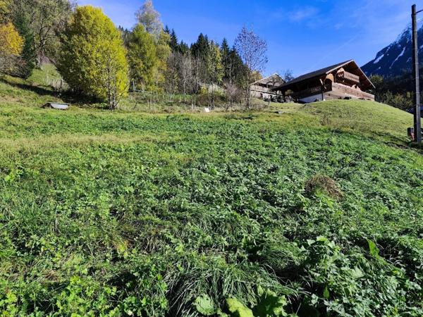 Terrain à vendre - 913m² - SAINT JEAN D'AULPS (74)