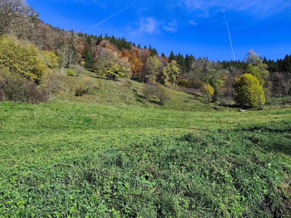 Terrain à vendre - 913m² - SAINT JEAN D'AULPS (74)