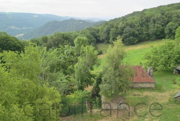 Ensemble de Propriété entouré par 4 hectares secteur Beaulieu-sur-Dordogne