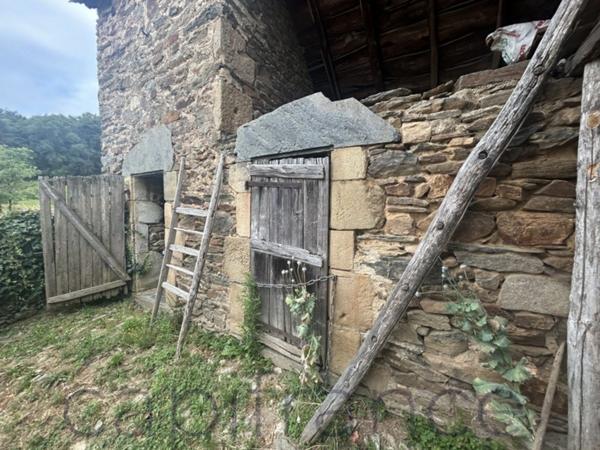 Ensemble de Propriété entouré par 4 hectares secteur Beaulieu-sur-Dordogne