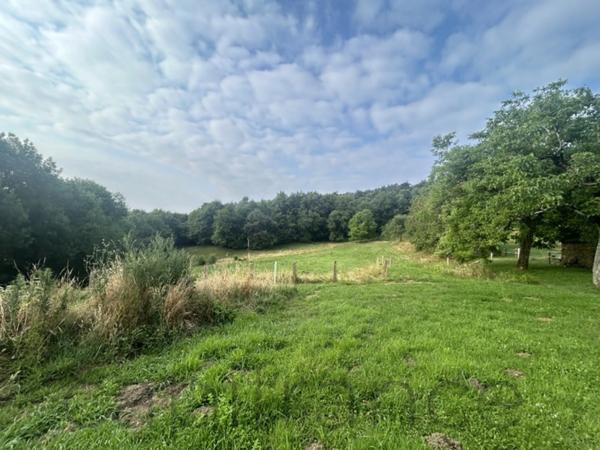 Ensemble de Propriété entouré par 4 hectares secteur Beaulieu-sur-Dordogne