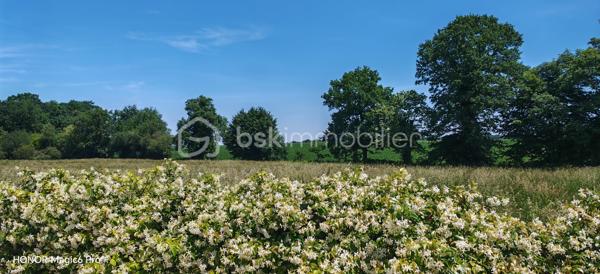 🏡 Maison d’exception avec espace professionnel clé en main – AAST (64460) – Parfait pour professions libérales et indépendants.

📍 Localisation idéale :
À seulement 5 km de Ger et 15 km de Soumoulou, cette propriété est idéalement située entre Pau, Tarbes et Vic-en-Bigorre, offrant un accès rapide aux axes routiers principaux. Un cadre paisible, à proximité des commodités, sans les nuisances des zones urbaines.

💼 Votre espace professionnel sur mesure – L’atout majeur de cette propriété
Cette maison propose un espace professionnel indépendant de plain-pied, conçu pour s’adapter à toutes les activités libérales ou indépendantes. Avec une extension lumineuse et un grand garage attenant, cet espace offre :

Flexibilité totale : Aménagez votre bureau, cabinet ou atelier selon vos besoins (cloisons modulables, isolation phonique, éclairage naturel optimal).
Visibilité et accessibilité : Situé en rez-de-chaussée, il permet une réception facile de votre clientèle ou partenaires, sans perturber votre vie privée.
Surface optimisée : Conçu pour allier profession et confort, cet espace est prêt à l’emploi ou personnalisable selon votre activité.
Potentiel de valorisation : Idéal pour les professions réglementées (avocats, experts-comptables, architectes, consultants, etc.) ou les activités artisanales.

🏠 La maison : un écrin spacieux et moderne

Surface habitable : 160 m² sur 2 niveaux dont 2 chambres et salle d'eau de plain pied. Au total 8 pièces, dont 5 chambres pour accueillir votre famille ou votre équipe.
Terrain de 2 250 m² : Un parc arboré et sécurisé, parfait pour aménager un jardin d’accueil, un parking supplémentaire ou même un espace détente.
Parking pour 6 véhicules : Garantie de place pour vos clients, collaborateurs ou invités.
Équipements haut de gamme :
Panneaux solaires pour des factures d’électricité réduites.
Climatisation réversible pour un confort toute l’année.
Chauffe-eau thermodynamique et poêle à bois pour des économies d’énergie.
Double vitrage et isolation performante pour un cadre de vie sain et silencieux.

🌿 Cadre de vie : calme, nature et proximité
Environnement préservé : Profitez d’un cadre verdoyant, loin de l’agitation, tout en restant proche des services essentiels.
Proximité des axes : Accès rapide à Pau (20 min), Tarbes (25 min) et Vic-en-Bigorre (15 min).
Écoles, commerces et transports à moins de 10 minutes.

🔍 Pourquoi cet espace professionnel est fait pour vous ?
✅ Adaptabilité : Que vous soyez indépendant, thérapeute, consultant, artisan ou freelance, cet espace s’adapte à votre activité.
✅ Image professionnelle : Un lieu dédié pour recevoir vos clients dans un cadre rassurant et élégant.
✅ Investissement malin : Un bien rare alliant habitation spacieuse et locaux professionnels, parfait pour réduire vos coûts immobiliers.
✅ Potentiel locatif : Si votre activité évolue, cet espace peut être mis en location (sous réserve des règles d’urbanisme locales).

💰 Prix et contact
Prix : 318 000 € (négociable selon projet).
Référence : 337335.
Contact : BSK Alain Beaufume – Agent immobilier spécialisé.

📅 Visite sur rendez-vous
Ne laissez pas passer cette opportunité unique de conjuguer vie professionnelle et personnelle dans un cadre exceptionnel. Contactez dès aujourd’hui pour organiser une visite ! 
Appelez moi 7/7 de 9H30 à 20H30 au 0641467080.