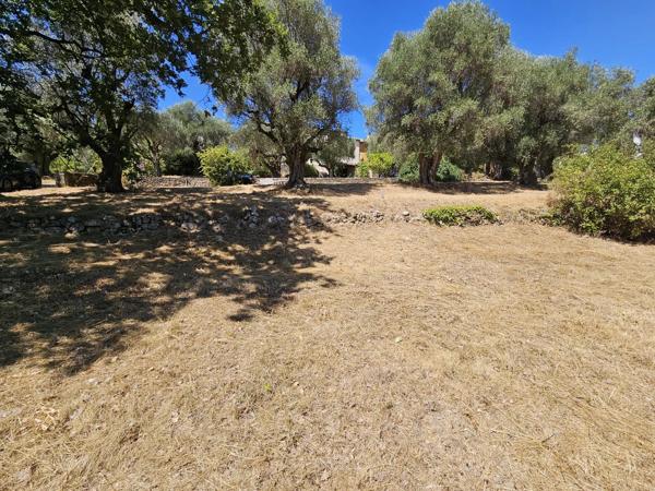 Vente                                                      Terrain
                        
                                         3233 m2                     à La Roquette-sur-Siagne