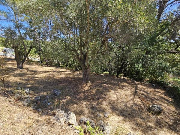 Vente                                                      Terrain
                        
                                         3233 m2                     à La Roquette-sur-Siagne