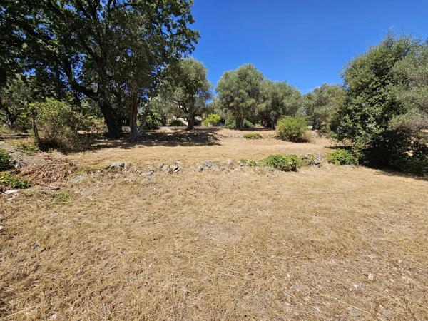 Vente                                                      Terrain
                        
                                         3233 m2                     à La Roquette-sur-Siagne