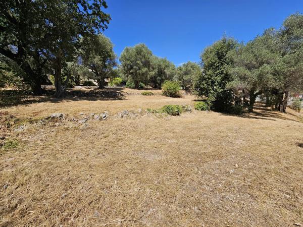 Vente                                                      Terrain
                        
                                         3233 m2                     à La Roquette-sur-Siagne