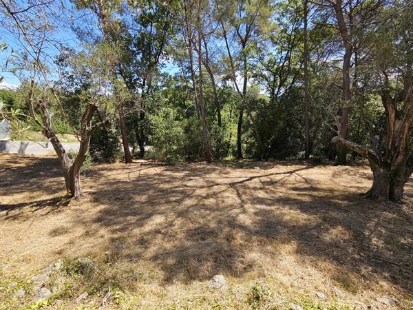 Vente                                                      Terrain
                        
                                         3233 m2                     à La Roquette-sur-Siagne