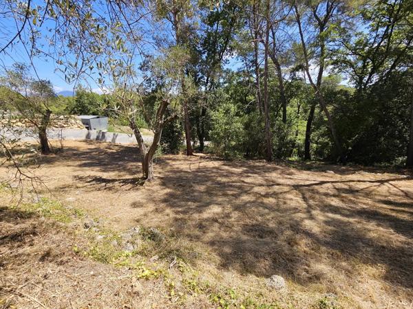 Vente                                                      Terrain
                        
                                         3233 m2                     à La Roquette-sur-Siagne