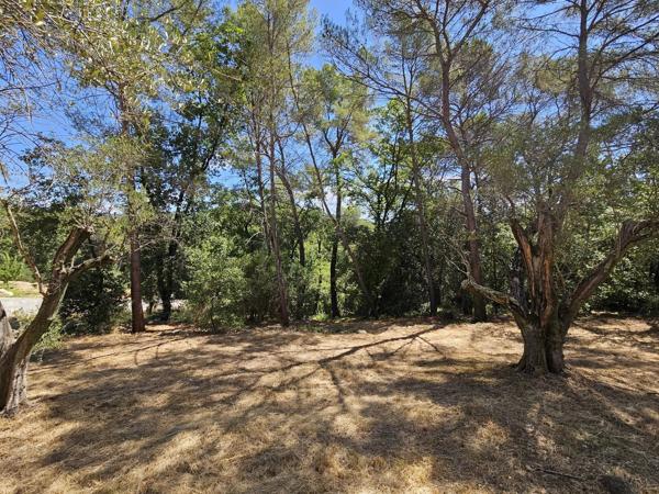 Vente                                                      Terrain
                        
                                         3233 m2                     à La Roquette-sur-Siagne