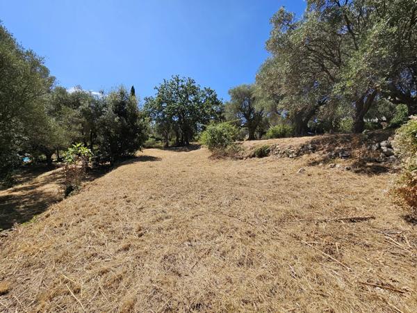 Vente                                                      Terrain
                        
                                         3233 m2                     à La Roquette-sur-Siagne