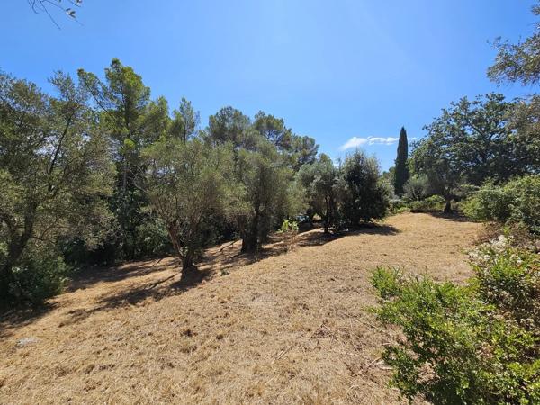 Vente                                                      Terrain
                        
                                         3233 m2                     à La Roquette-sur-Siagne