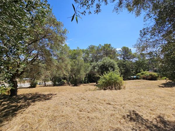 Vente                                                      Terrain
                        
                                         3233 m2                     à La Roquette-sur-Siagne