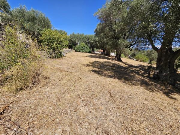 Vente                                                      Terrain
                        
                                         3233 m2                     à La Roquette-sur-Siagne