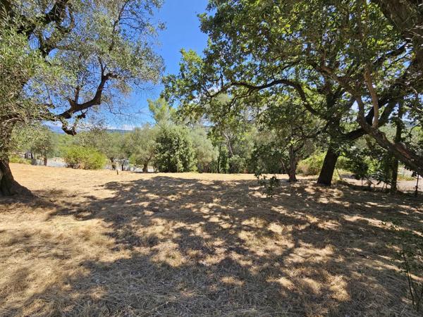 Vente                                                      Terrain
                        
                                         3233 m2                     à La Roquette-sur-Siagne