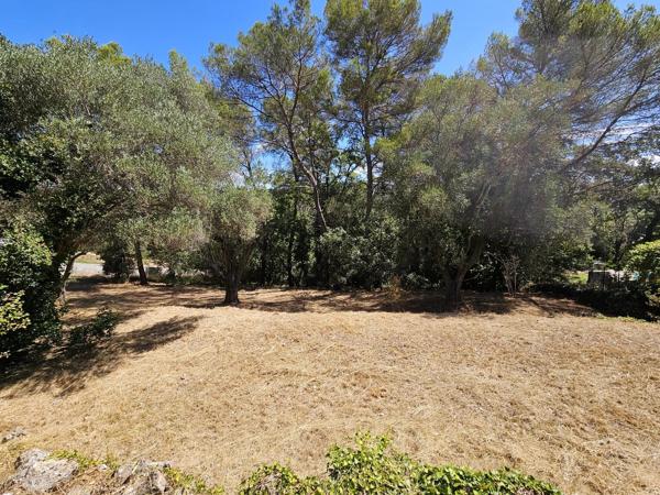 Vente                                                      Terrain
                        
                                         3233 m2                     à La Roquette-sur-Siagne