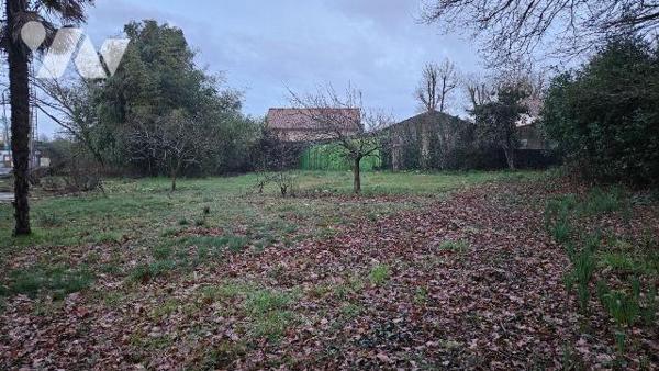 A vendre, en Charente Maritime, A BREUILLET Terrain à bâtir boisé de 1502 m² en sortie de bourg...