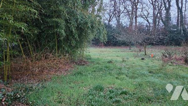A vendre, en Charente Maritime, A BREUILLET Terrain à bâtir boisé de 1502 m² en sortie de bourg...
