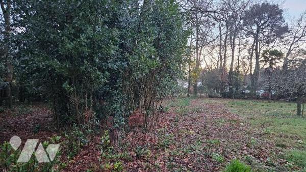 A vendre, en Charente Maritime, A BREUILLET Terrain à bâtir boisé de 1502 m² en sortie de bourg...