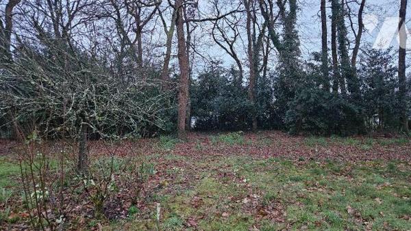 A vendre, en Charente Maritime, A BREUILLET Terrain à bâtir boisé de 1502 m² en sortie de bourg...