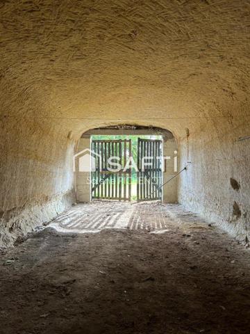 Ensemble troglodyte rare avec deux caves et terrain arboré dominant.