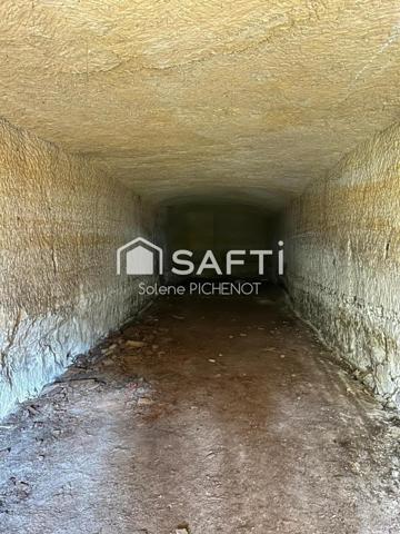 Ensemble troglodyte rare avec deux caves et terrain arboré dominant.