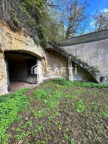 Ensemble troglodyte rare avec deux caves et terrain arboré dominant.